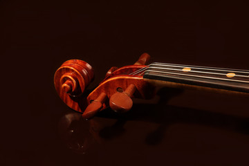 Violin