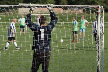 Football goalkeeper standing in the goal