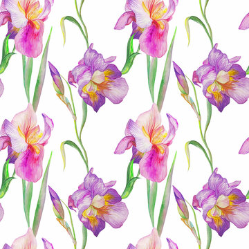 iris in the summer garden. watercolor art. pattern
