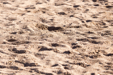 the sand on the beach as background