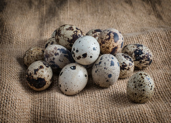 lot of quail eggs on sacking Close-up