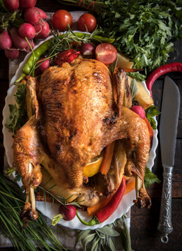 Roasted whole turkey and vegetables