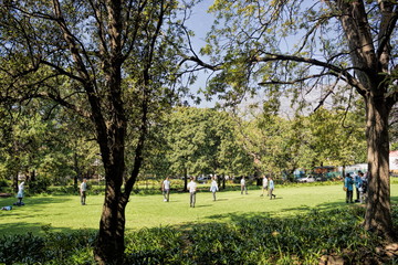 Fototapeta na wymiar Kapstadt, Fussball im Stadtpark
