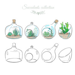 decorative compositions with succulents - 121164186