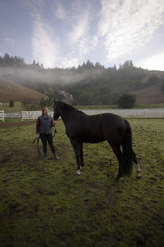 Young woman standing with her black horse in a paddock.