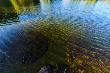 Lake water and boulders, Armenia