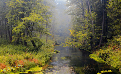 Dzika Rzeka  © Wojciech Lisiński
