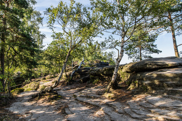 Landschaft, Pfaffenstein, Sächsische Schweiz