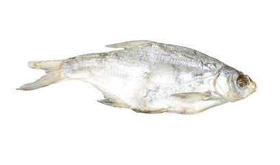 Dried fish on a white background