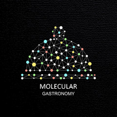 Restaurant menu card design for molecular gastronomy. Abstract molecular structure with products on black backgrounds. Molecular gastronomy. Icon.