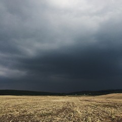 dark clouds and field