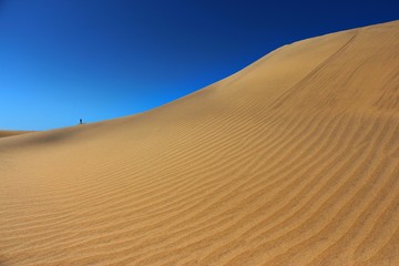 Tiny Humans Big World