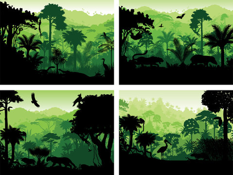 Set Of Vector Rainforest Animals Silhouettes In Sunset Design Templates