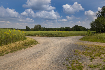 Fototapeta na wymiar Dirt road, crossroad on a farm leading away from viewer.