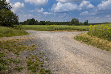 Dirt road, crossroad on a farm leading away from viewer.