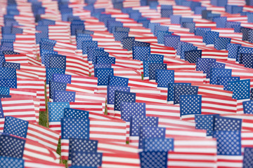 Fototapeta premium United State Flags for 9-11 Event