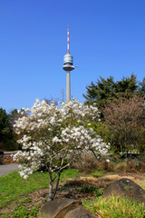 Spazieren im Donaupark Wien