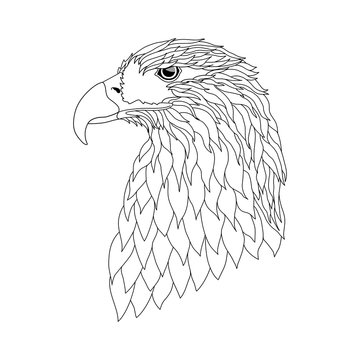 Vector illustration. The head of an eagle on a white background.Black and white pattern can be used for further drawing and coloring.