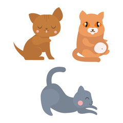 Cats collection vector silhouette. Cute domestic cats different animals. Different cats young adorable tail symbol playful paw. Cartoon funny standing drawing domestic pussy characters set.