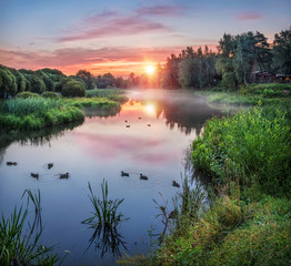 Утро для уток Morning for ducks © yulenochekk