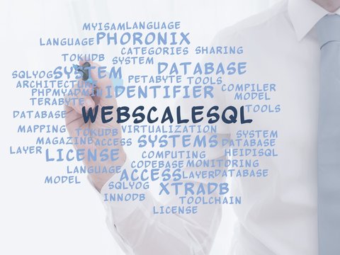 WebScaleSQL