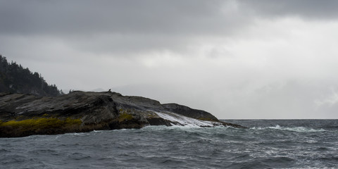 Obraz premium hippa14199