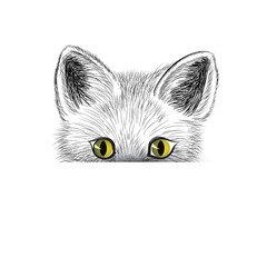 playful cat. Kitten face sketch. Puppy head isolated.