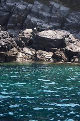 The rocky shore of the Adriatic Sea