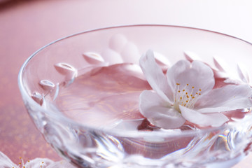 Obraz na płótnie Canvas 桜の花びらとワイングラス