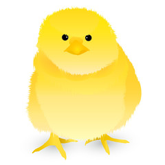 酉　ひよこ　年賀状　アイコン