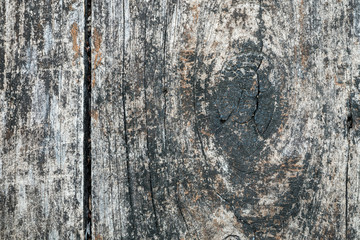 Old wood wall