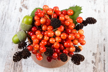 Bunch of red viburnum with alder cone and acorns on rustic wooden background