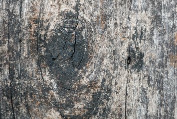 Old wood wall