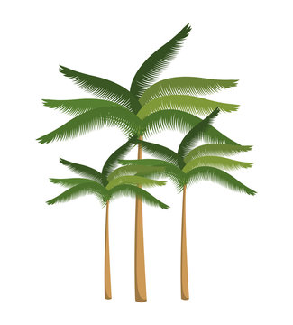 palm tree beach design isolated vector illustration eps 10