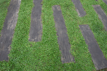 Grass between stones