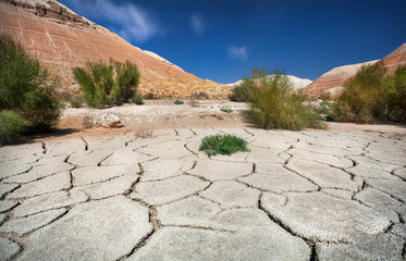 Cracked soil in desert with plants and mountains