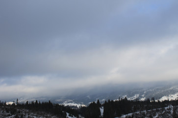 Carpathian mountains in Ukraine. Winter landscape