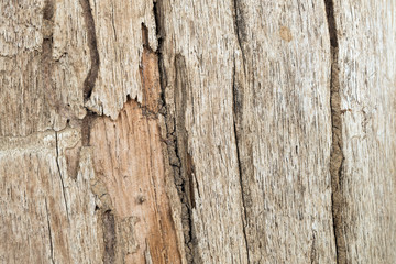 Old wood wall