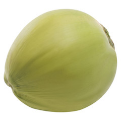young coconut 