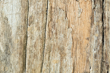 Old wood wall