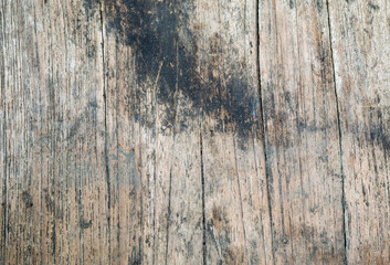 Old wood wall