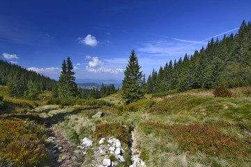 dolina w górach w piękny poranek © Jurek Adamski