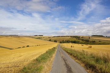 Fototapeta na wymiar harvest and country road