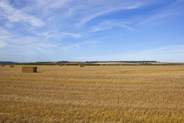 Fototapeta premium straw bales at harvest