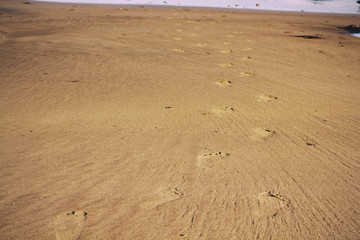 Footprints in the sand on Polzeath beach Vintage Retro Filter.