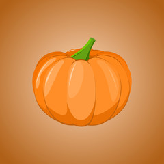 Fresh orange pumpkin vector. Orange autumn food fresh pumpkin vegetable holiday decoration.