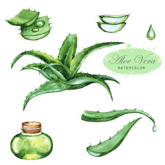 Hand-drawn watercolor illustration of the green aloe vera. Drawings of the sliced leaves, juice in the bottle and branch of the aloe plant, isolated and close up on the white background. - 121195784