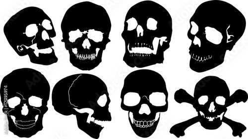 トップコレクション 骸骨 フリー素材 トップ新しい画像