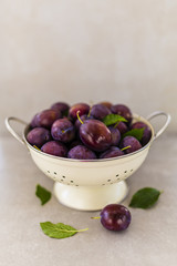 Ripe plums in a colander on a gray stone background with space for text.