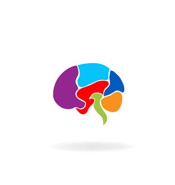Brain logo in vivid colors